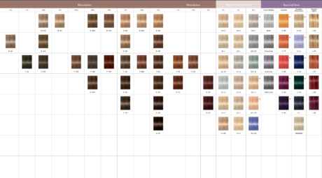 Igora color chart 2