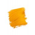 Crazy Color 100ml
