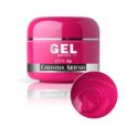 Gel Christian Artesio 5gr