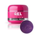 Gel Christian Artesio 5gr