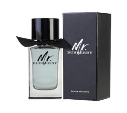 BRBERRY MR BURBERRY EDT 100ML