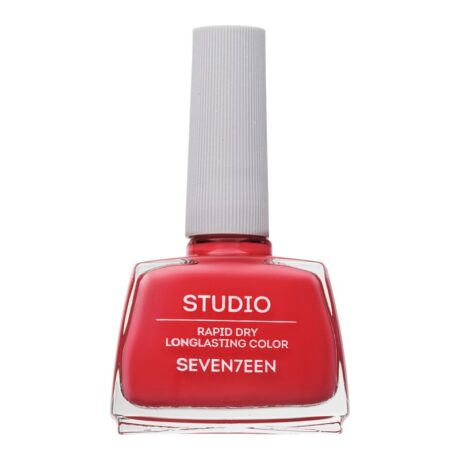 STUDIO Rapid Dry Lasting -Seventeen