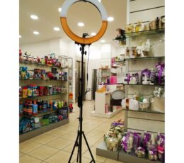 Led Ring Light 18''