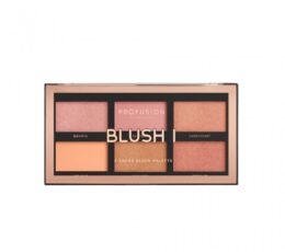 ΠΑΛΕΤΑ ΡΟΥΖ 1 PROFUSION COSMETICS