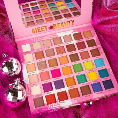 FEBBLE MEET BEAUTY 42 EYESHADOWS & BLUSH PALETTE