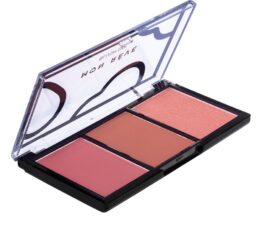 Mon Reve Blush On 02 Earthy