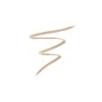 ERRE DUE PERFECT BROW TINT PEN 24HRS