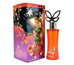 Disney Fairies Disconer The Truth