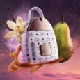 MCM Cosmic Star EDP 50ml